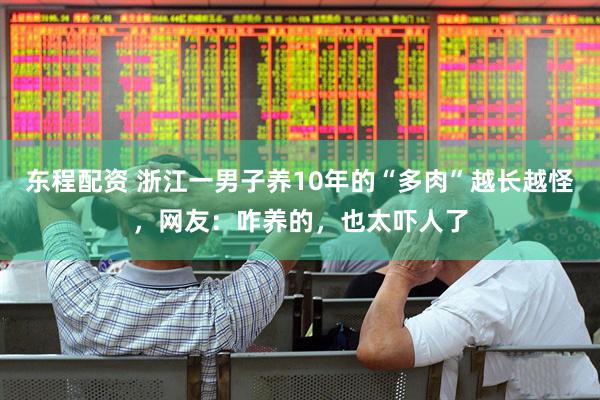 东程配资 浙江一男子养10年的“多肉”越长越怪，网友：咋养的，也太吓人了