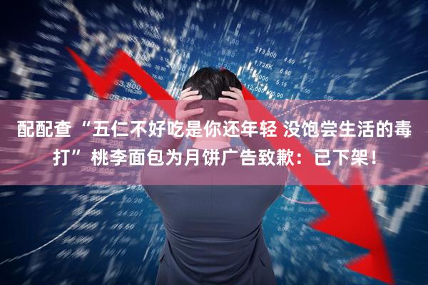 配配查 “五仁不好吃是你还年轻 没饱尝生活的毒打” 桃李面包为月饼广告致歉：已下架！